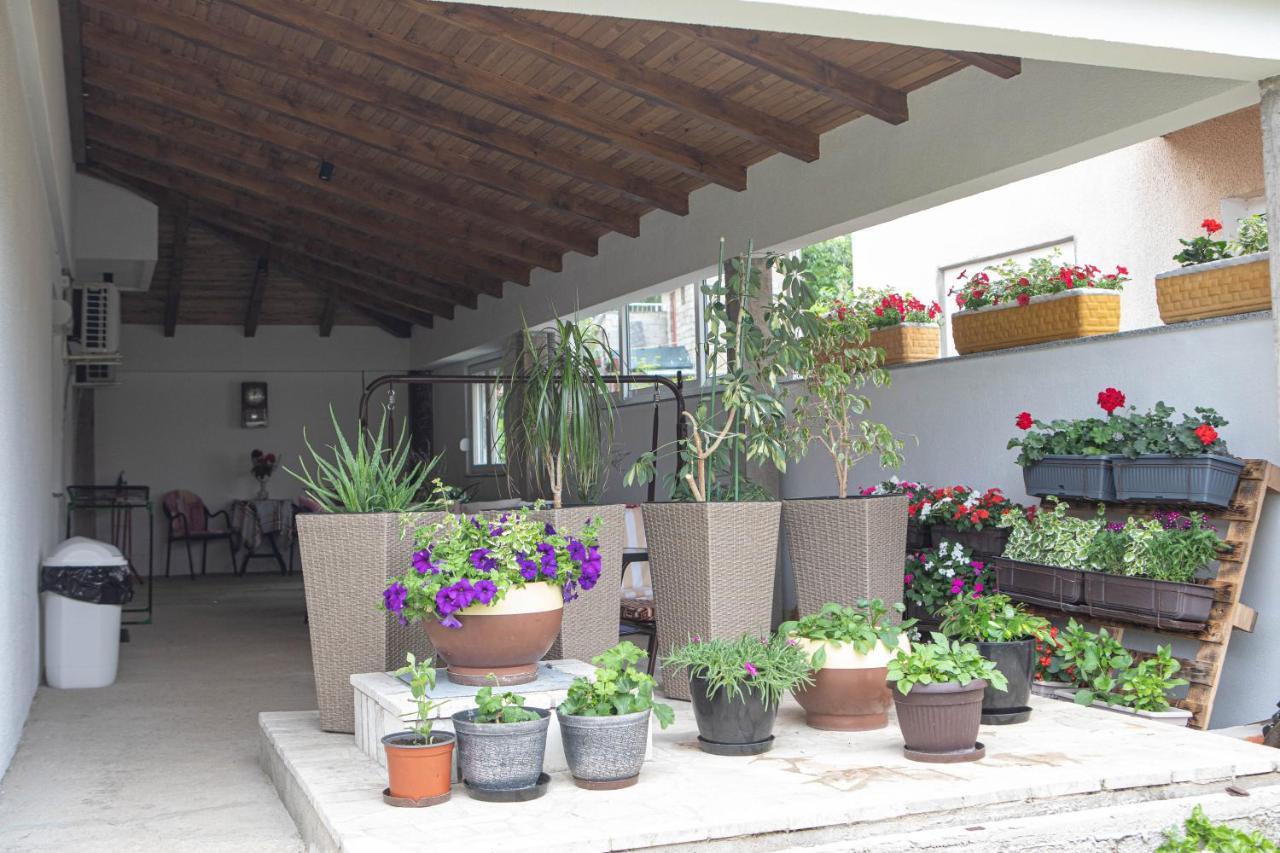 Apartmani Budimcic 特雷比涅 外观 照片